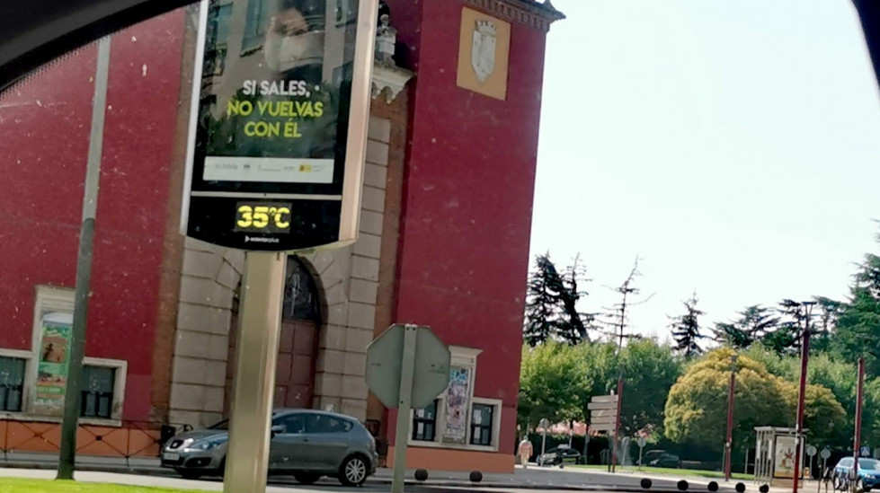 Termometro leon verano 2021 DDV