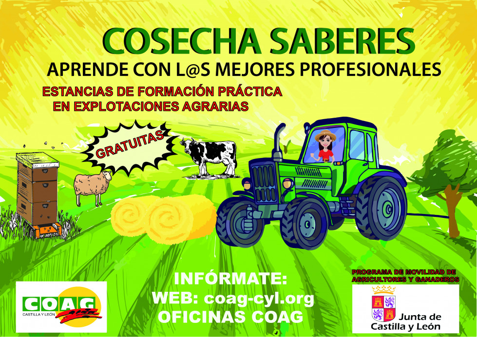 CARTEL MOVILIDAD