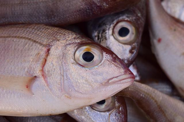 Pescado  más famosos de la cocina de Corea