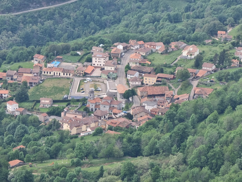 Oseja de sajambre ddv