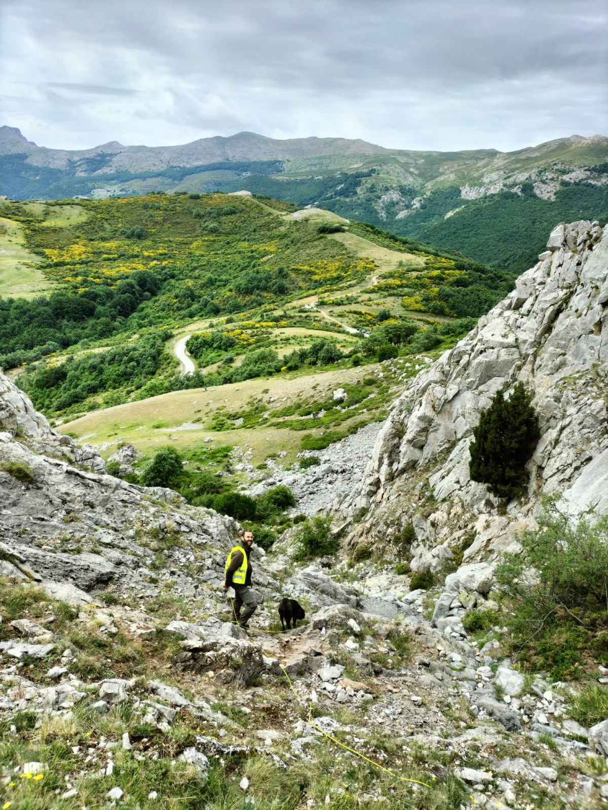 FOTO 1. Miembros del operativo Junta que busca osos pardos en Montaña Palentina