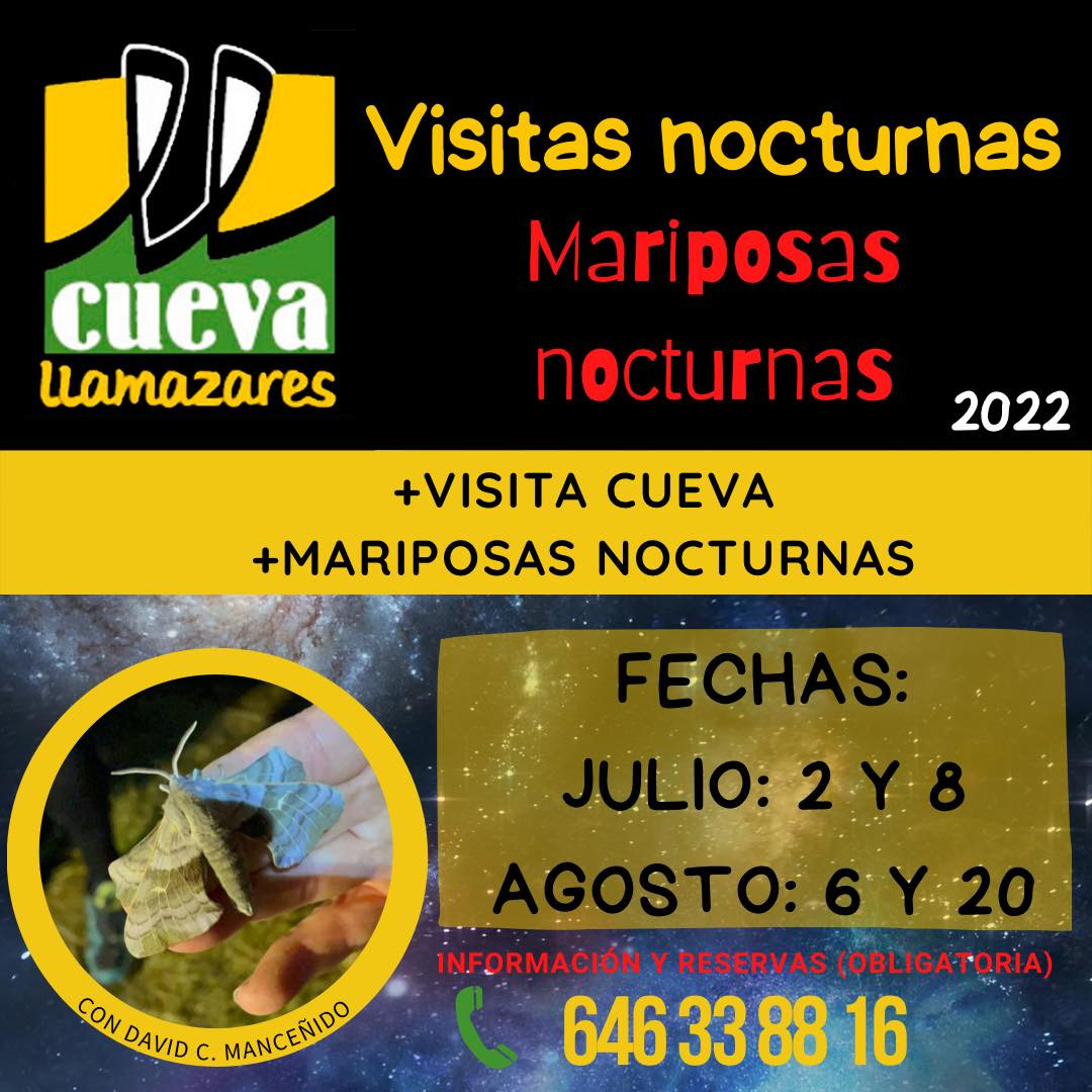 Visitas nocturnas cueva llamazares