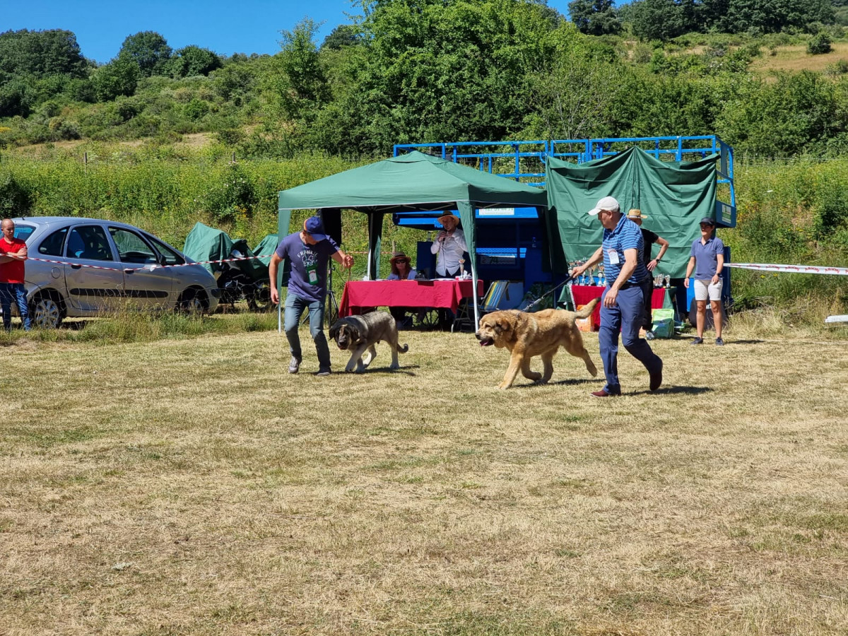 Fiesta de la trashumancia 2022 (10)