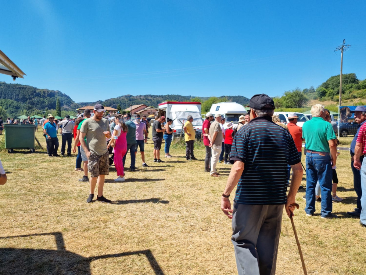Fiesta de la trashumancia 2022 (12)
