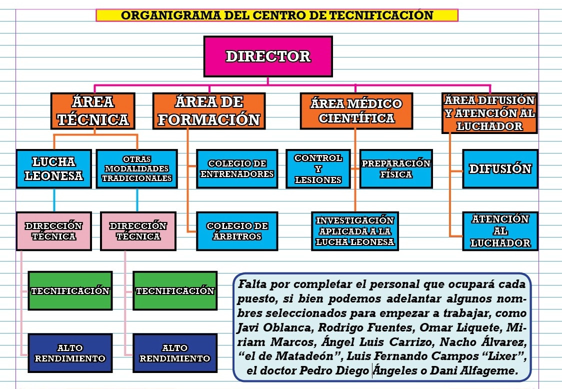 ORGANIGRAMA C.T.