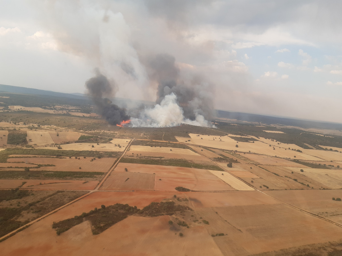 Incendio en losacio zamora naturaleza cyl