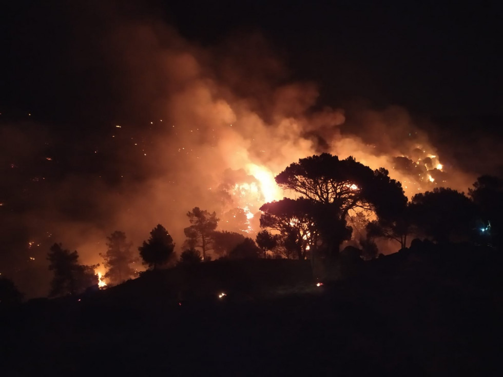 Incendios cebreros castilla y leon 2022