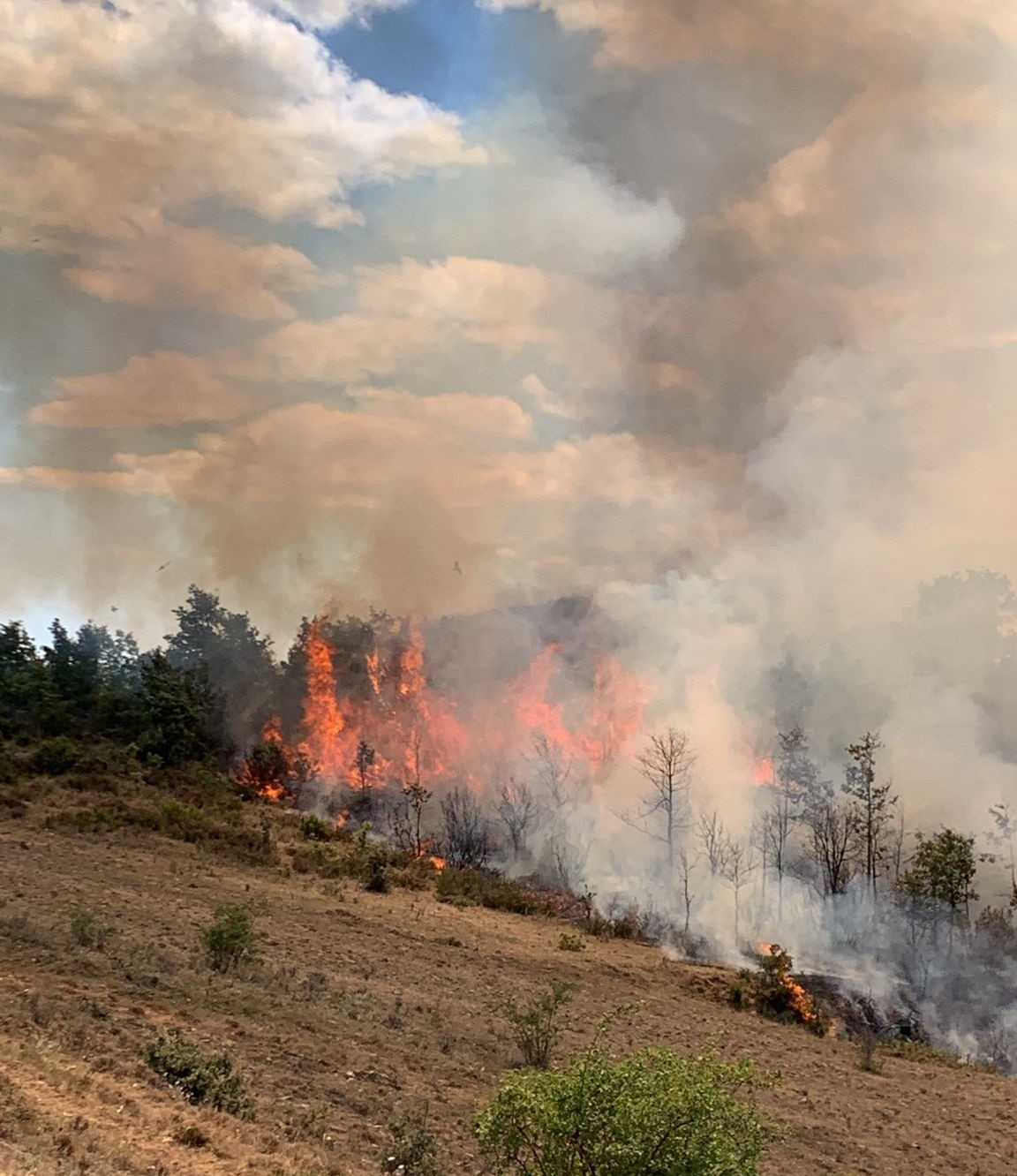 Incendio matallana (2)