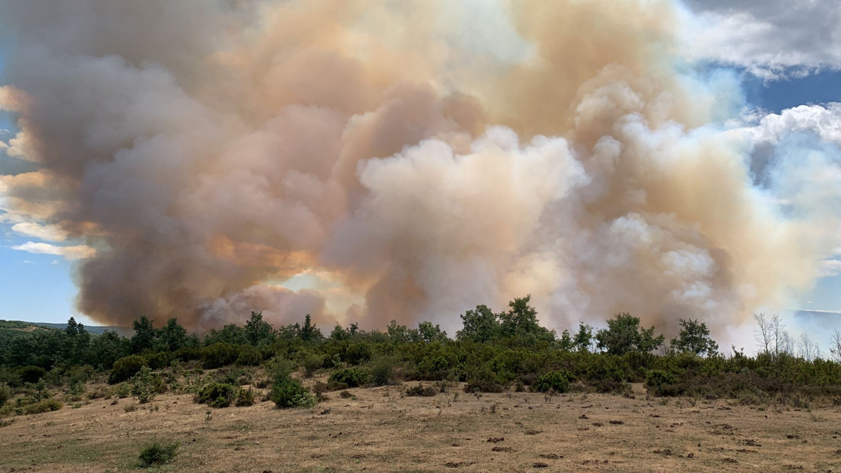 Incendio matallana (3)