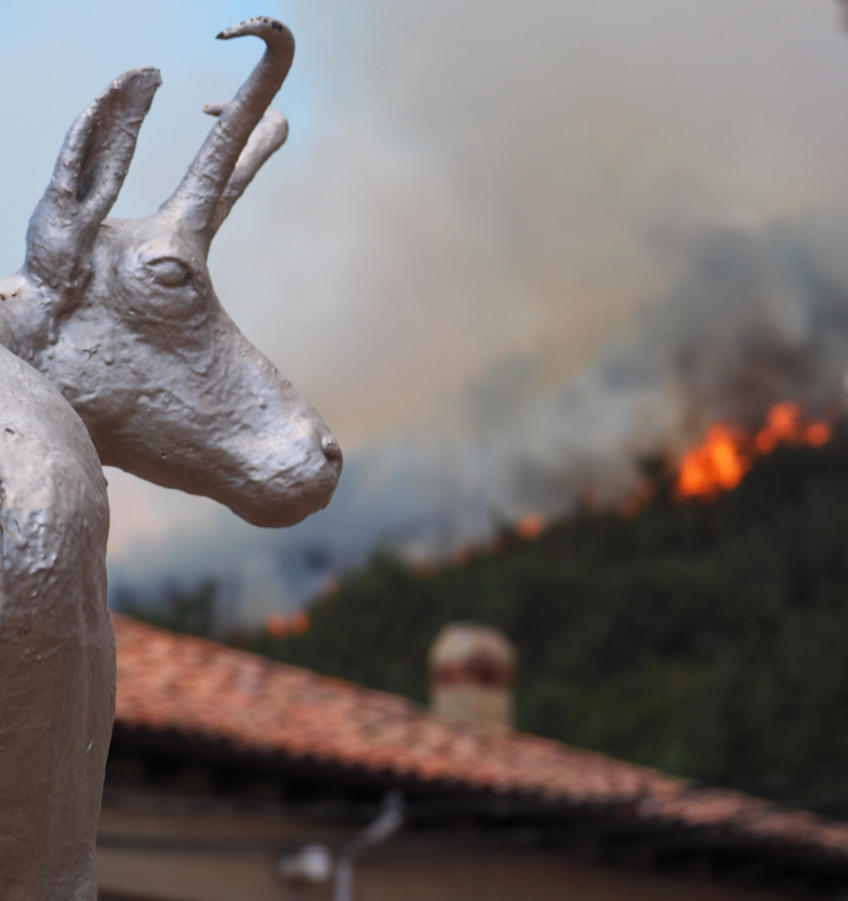 Incendio matallana  emilio viu00f1uela(5)