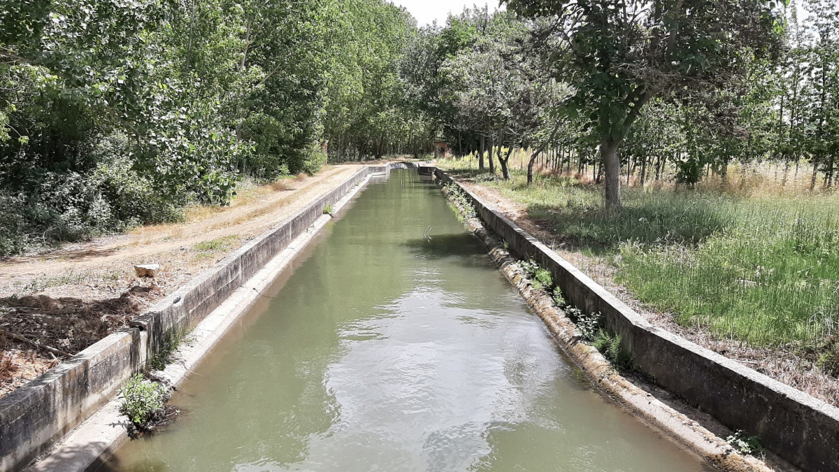 Canal de Palencia