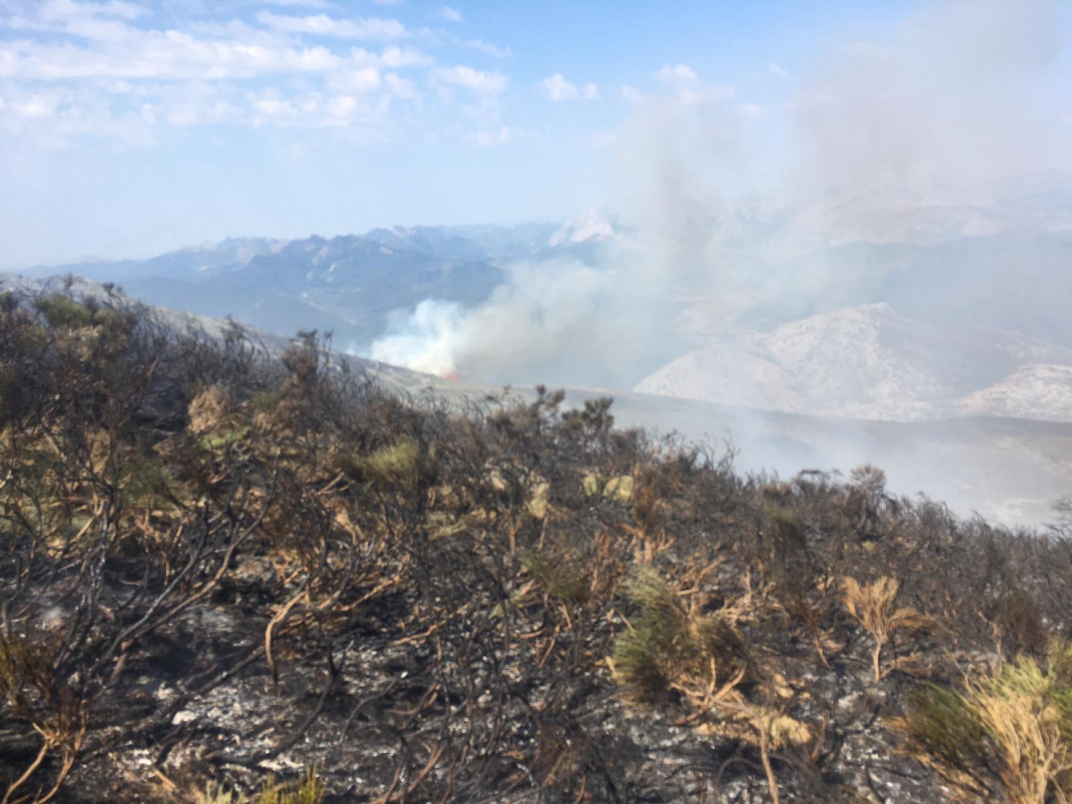 Incendio valverde de la sierra BRIF TABUYO (4)