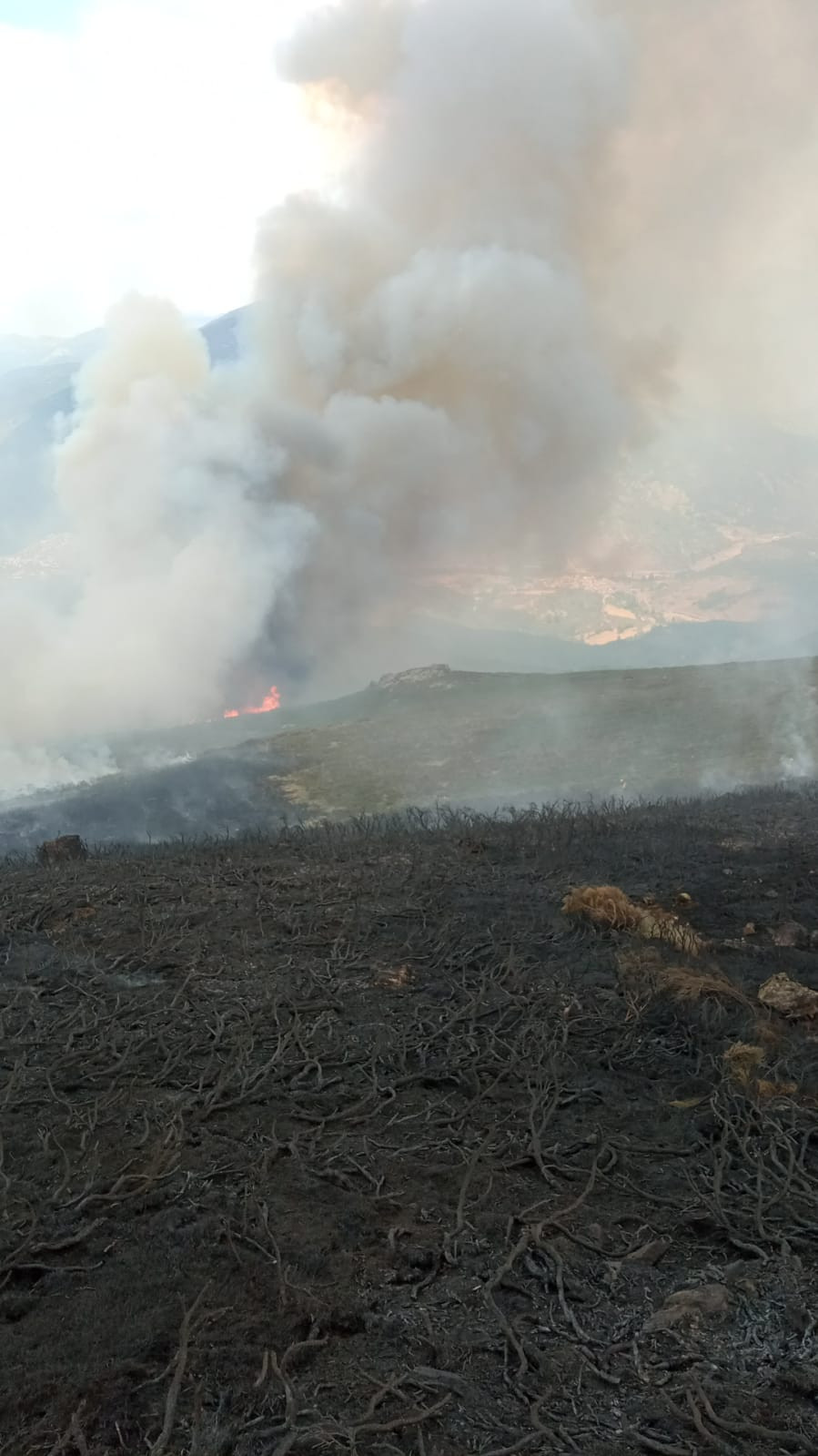 Incendio valverde de la sierra BRIF TABUYO (7)