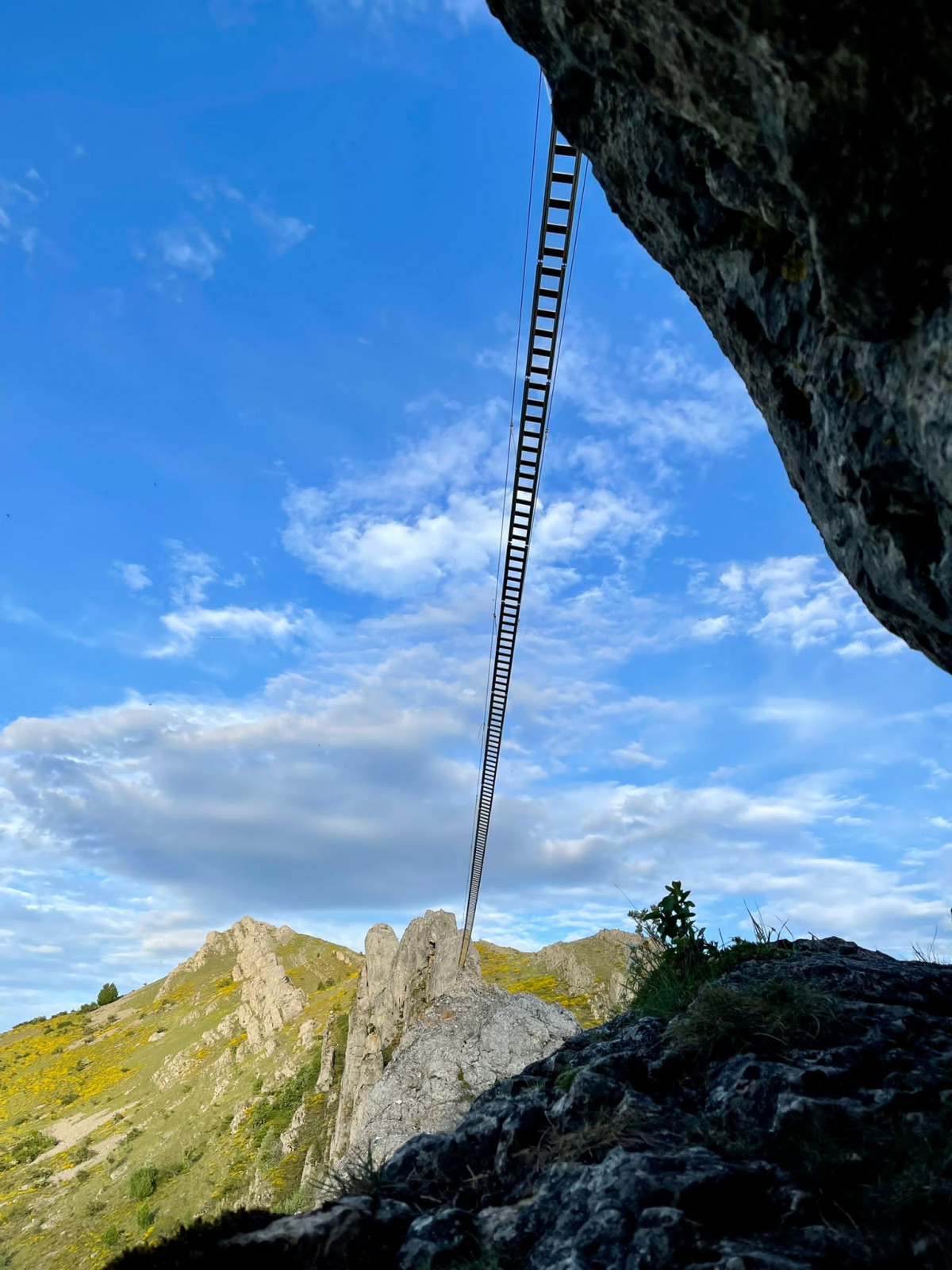 Puente tibetano sabero (3)