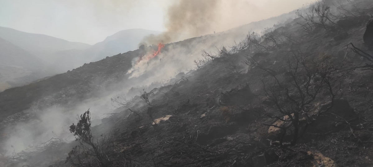 Incendio valverde de la sierra brif tabuy