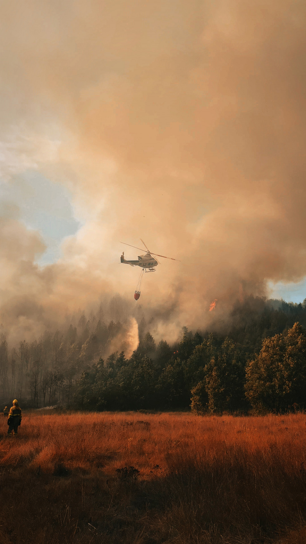 Incendio villaverde y villahibiera nerea martinez (2)