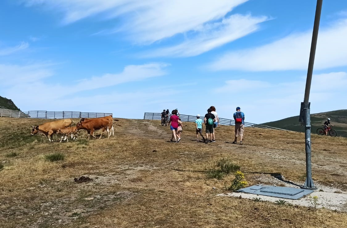 Leitariegos verano