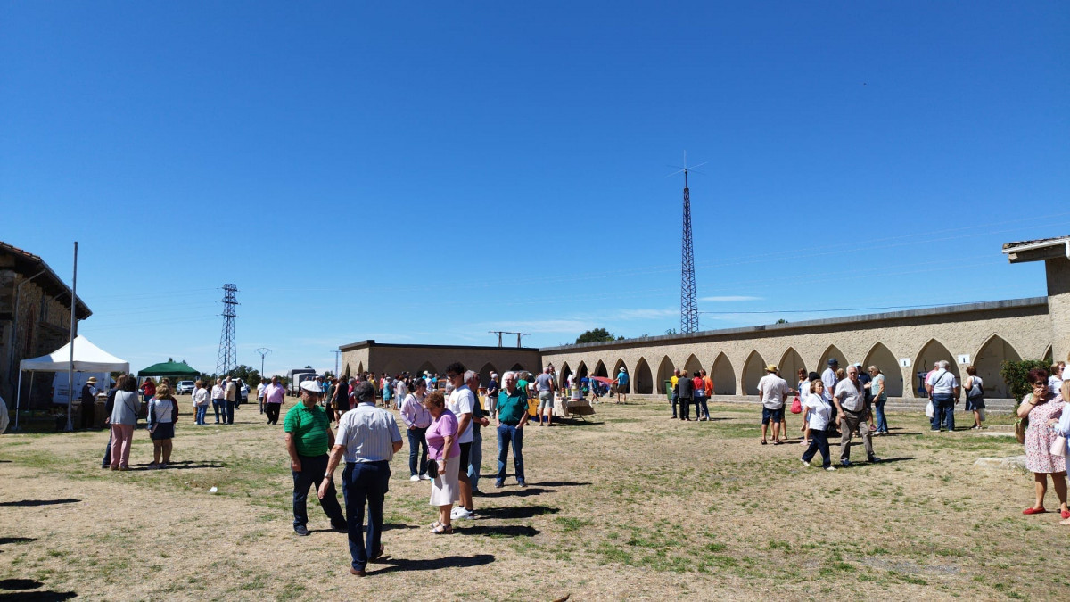 Romeria cristo Guardo 2022