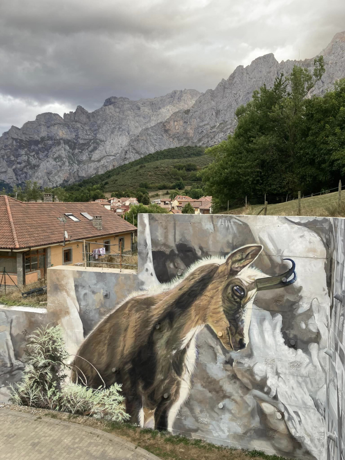 Mural centro visitantes picos de europa 5