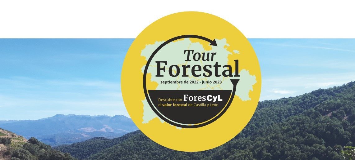 Tour forestal forestcyl
