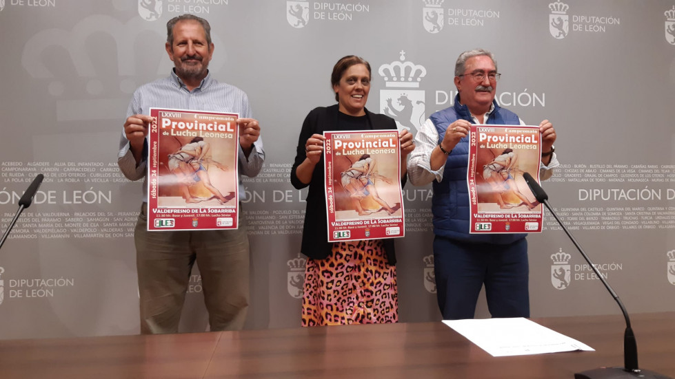 Presentacion dipu