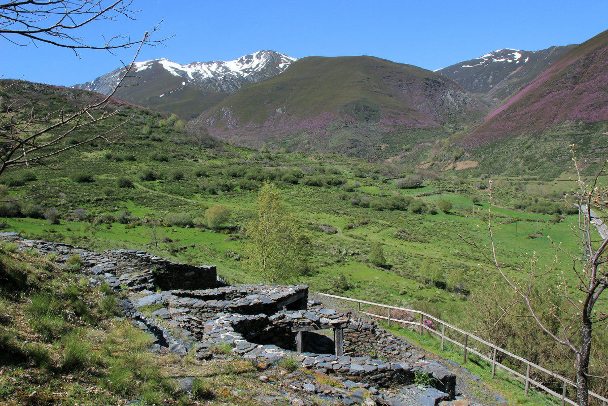 Reserva biosfera