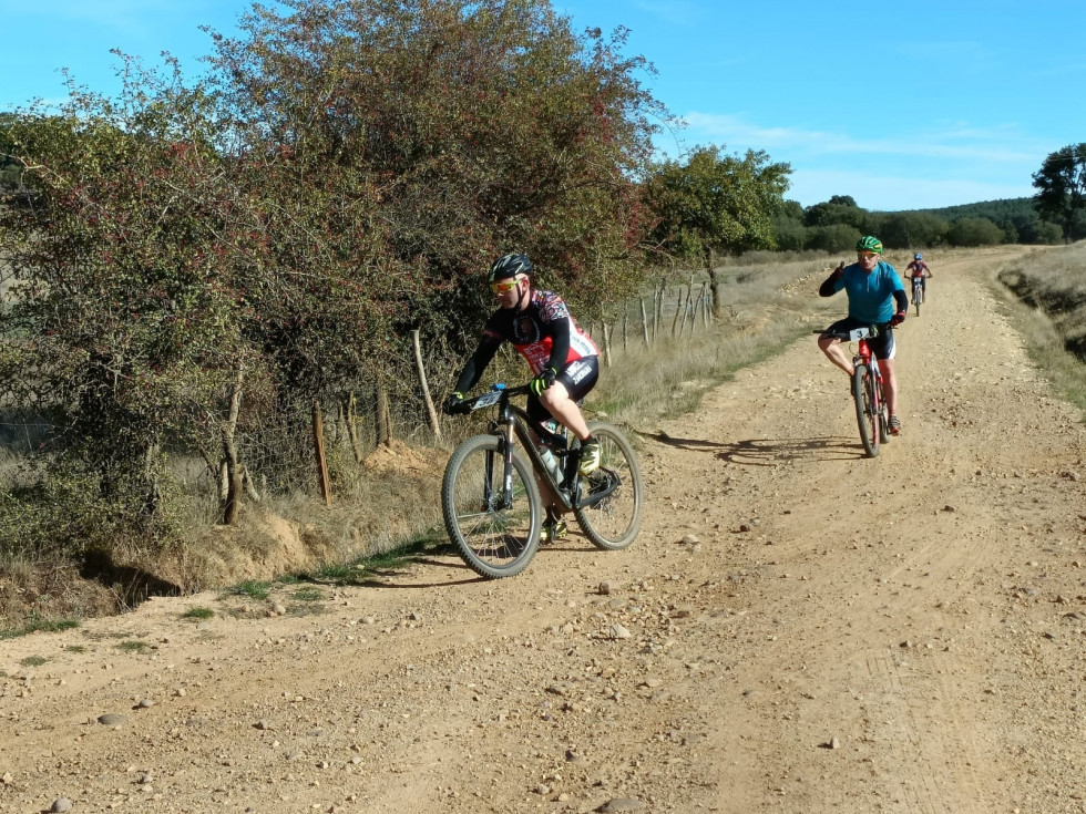 BTT robles milenarios almanza
