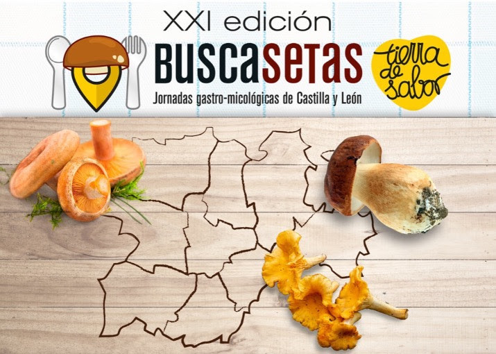 Buscasetas