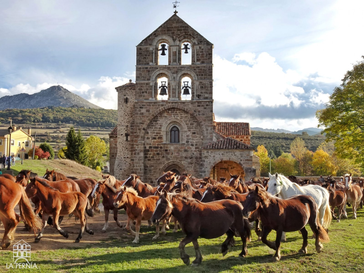 Feria del caballo la pernia (4)