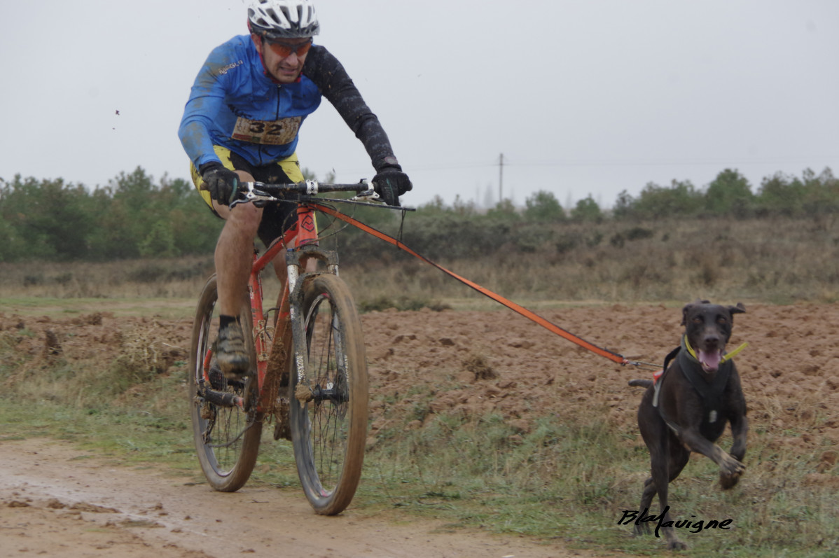 Club mushing montaña oriental Transsobarriba