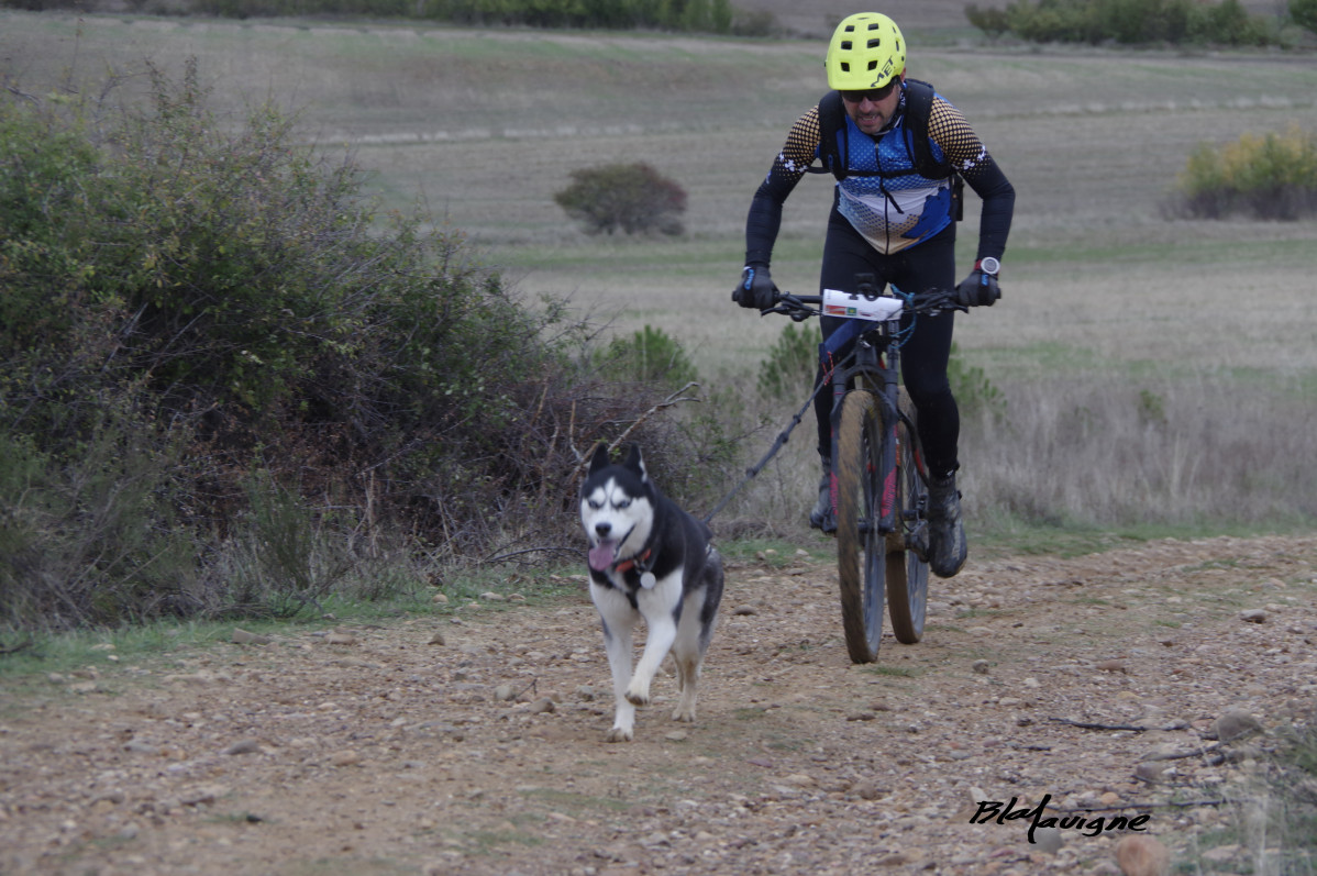 Club mushing montau00f1a oriental Transsobarriba (4)