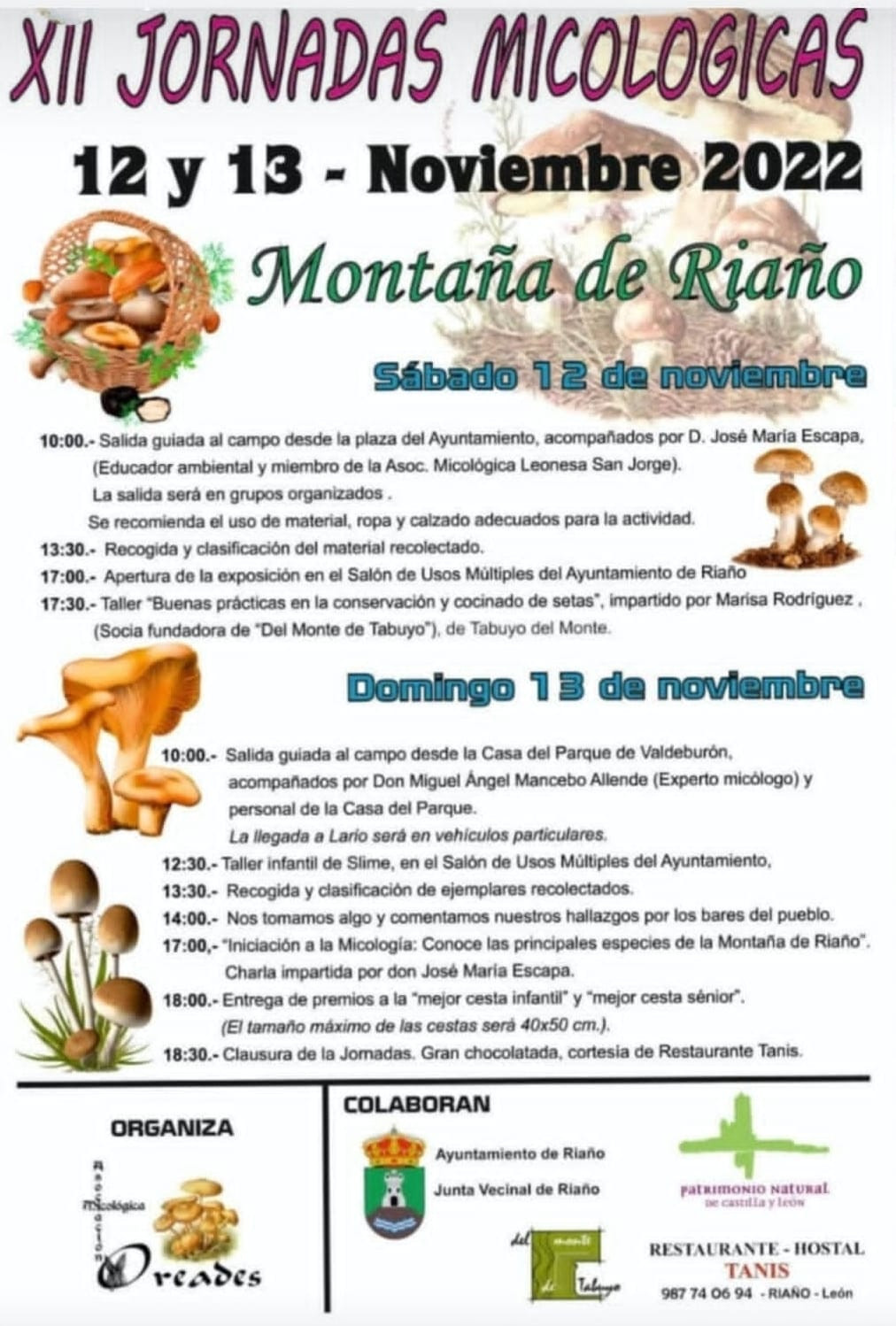 Cartel jornadas micologicas