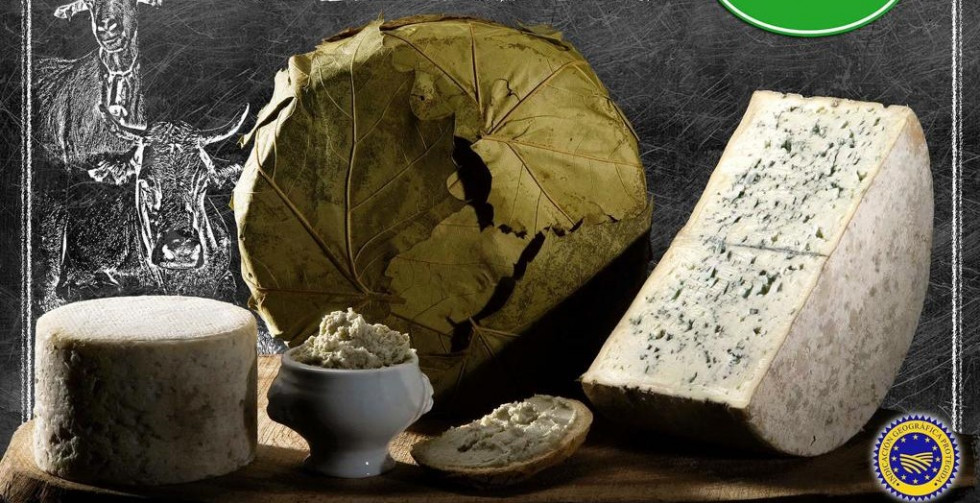 Queso azul de valdeón 2022 222