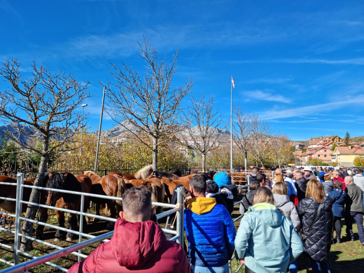 Feria ganadera riaño 2022 (3)