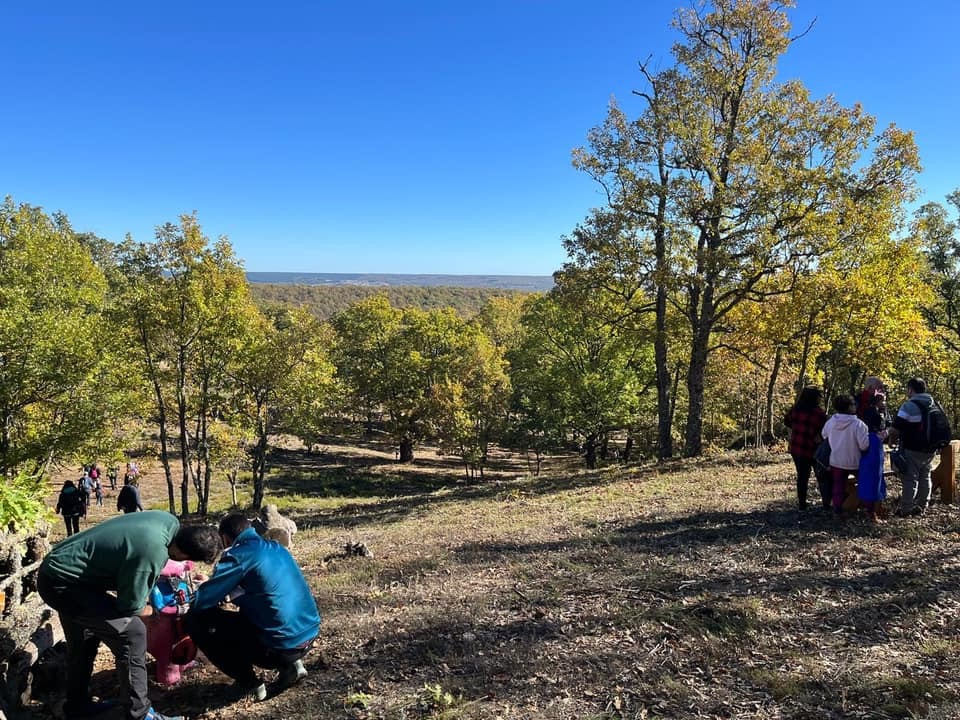 Bosque de los enanitos almanza 2