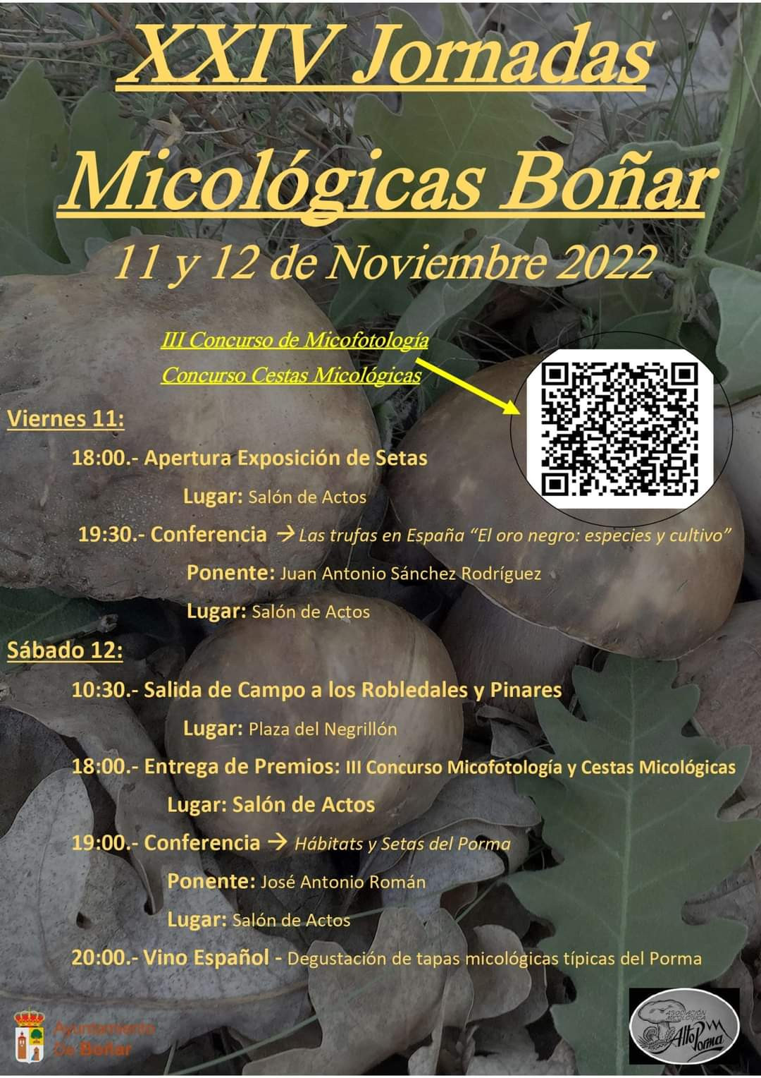 Jornadas micologicas bou00f1ar cartel