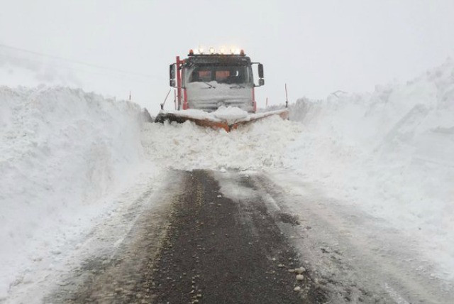 Nievejosemayo