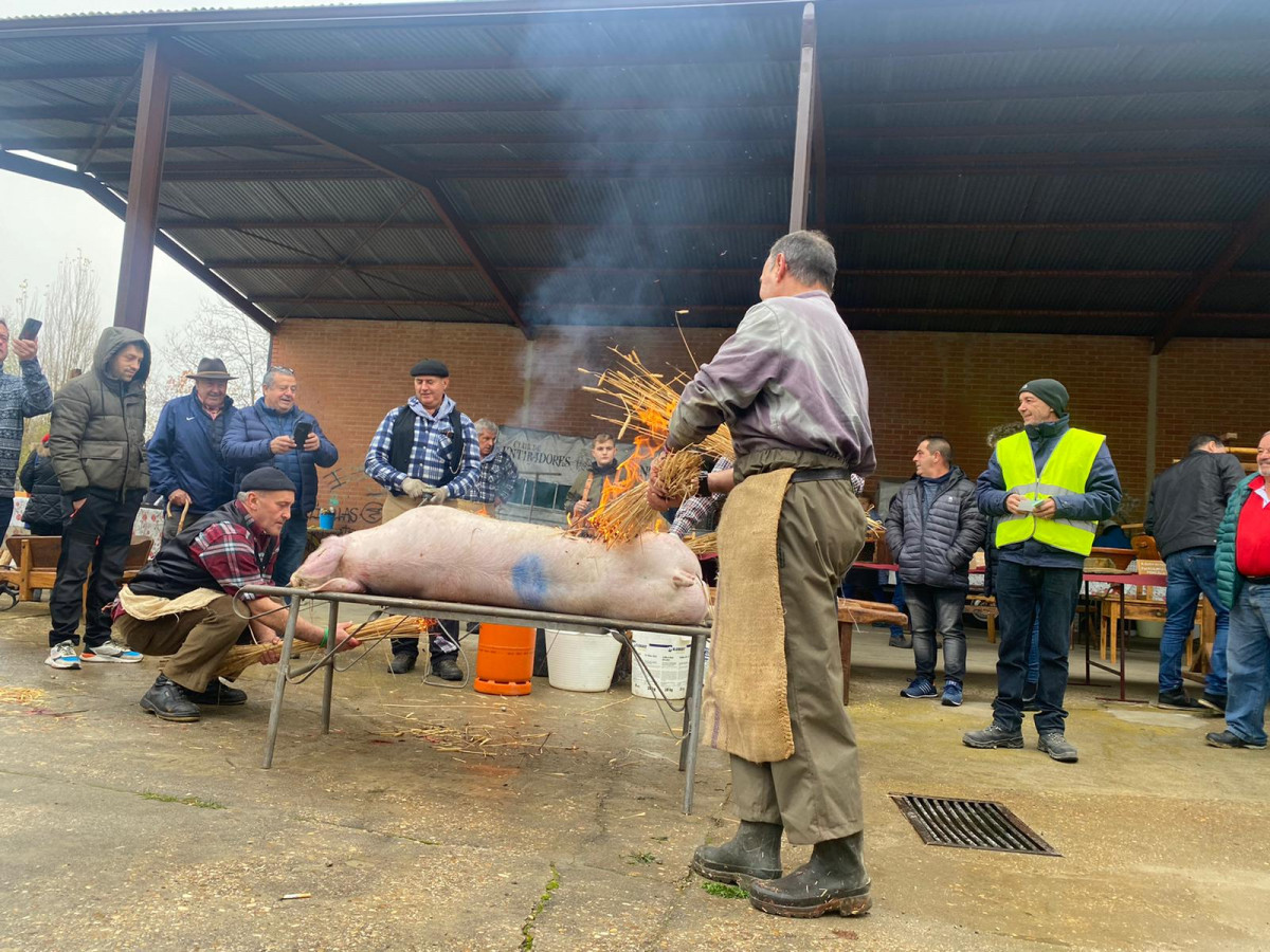 Feria multisectorial puente almuhey 2022 (19)