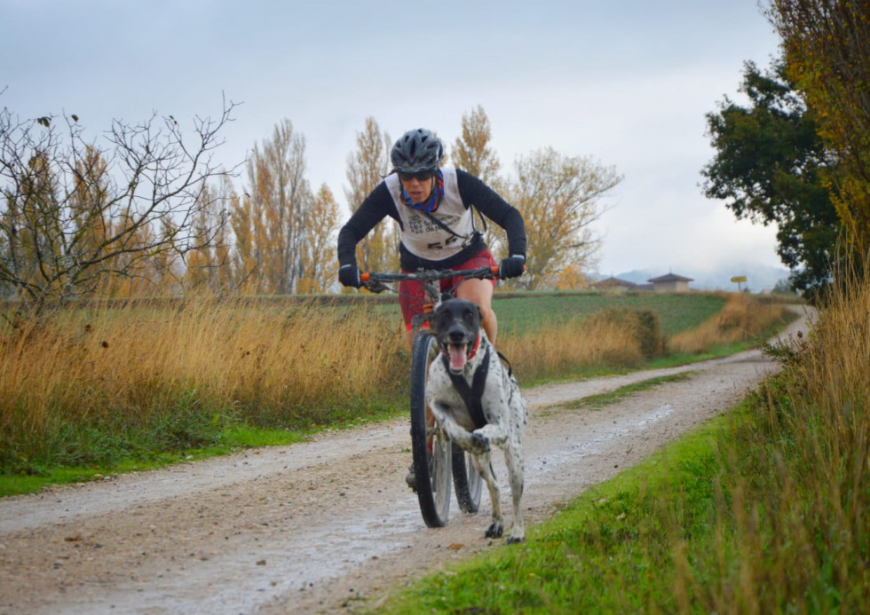 Club mushing montaña oriental nerea rodriguez 2