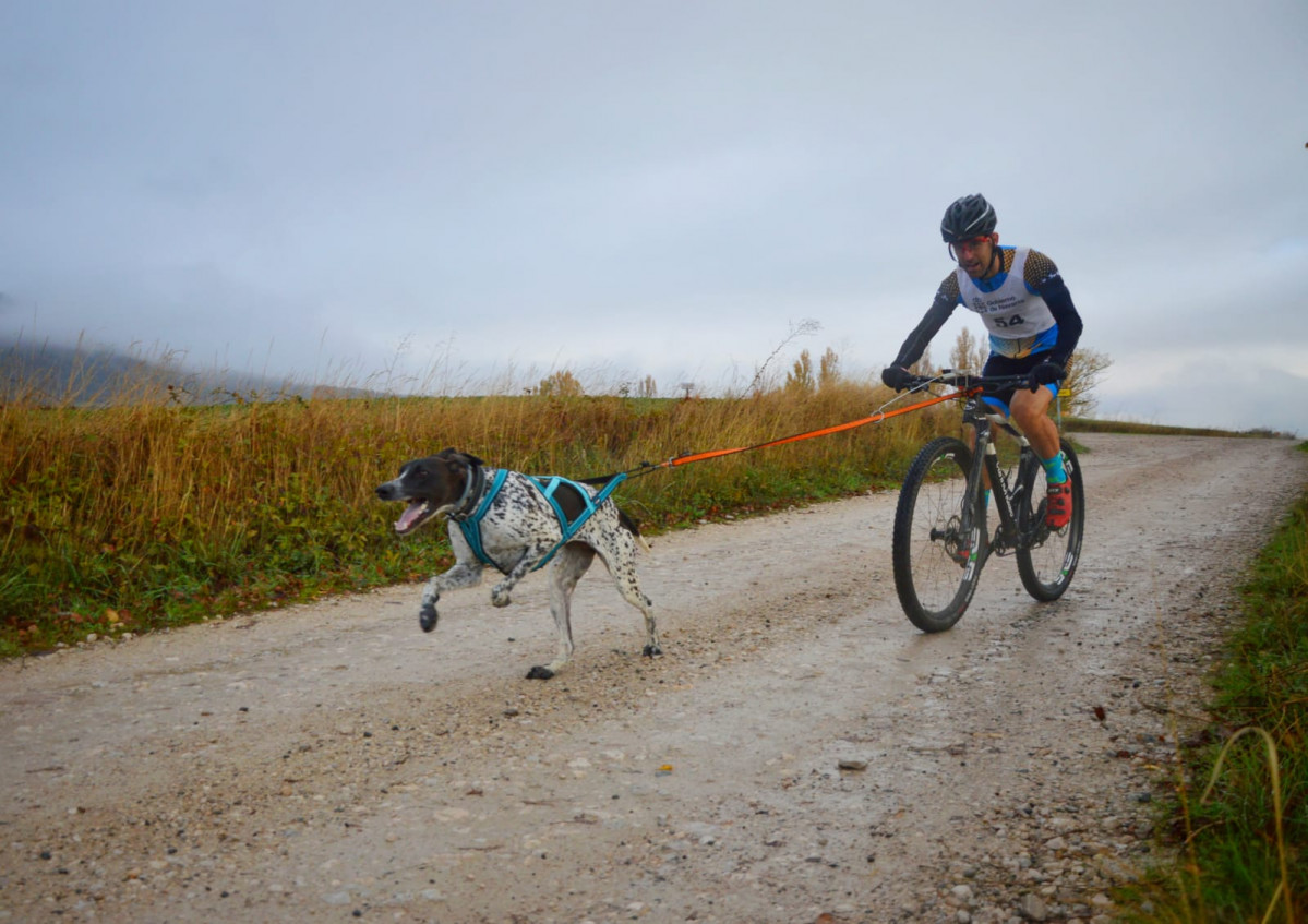 Club mushing montau00f1a oriental nerea rodriguez