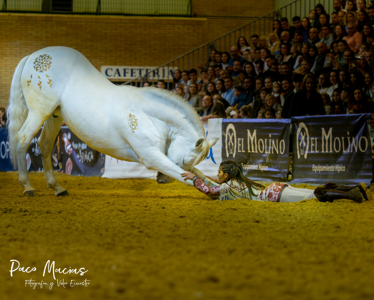 Carlota sicab sevilla doma caballos