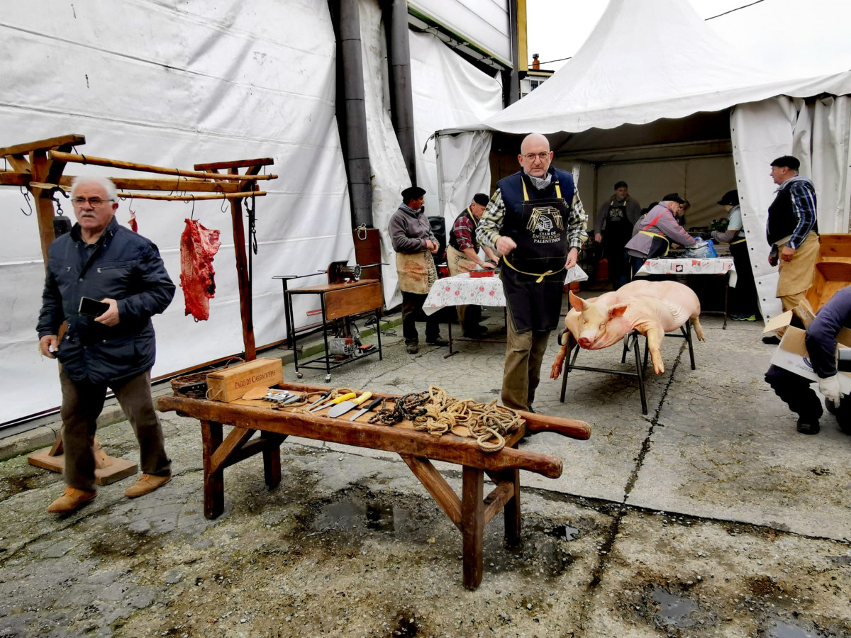 Feria de santa catalina cistierna 2022 11