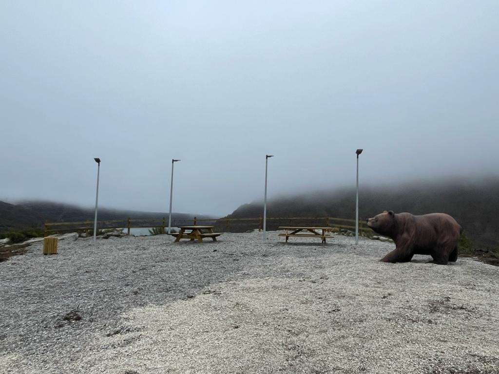 Mirador oso otero de guardo 1