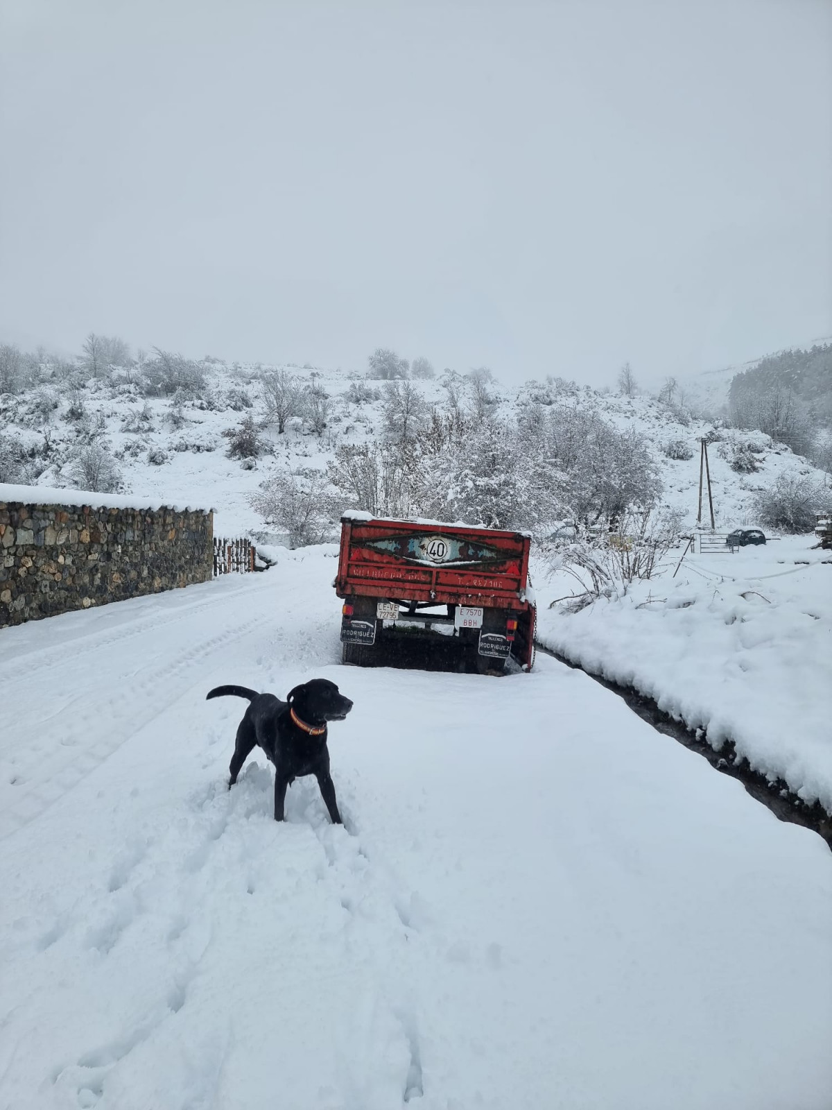 Barniedo de la reina nieve enero 2023 lidia del blanco 3