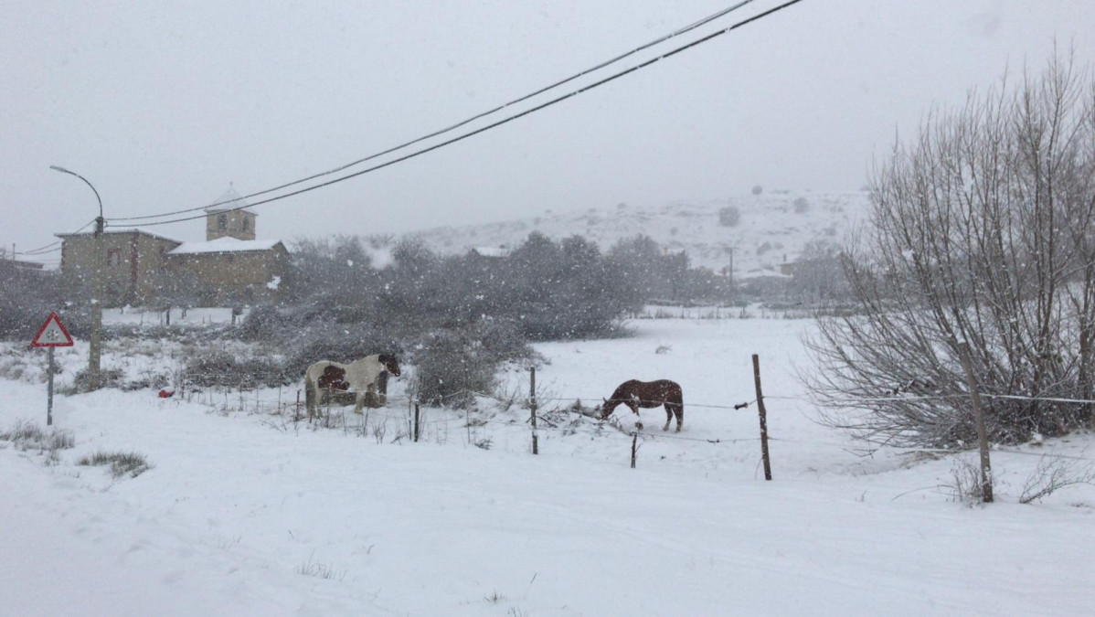 Prado de la guzpeu00f1a nieve 2023 carlos mesa 1