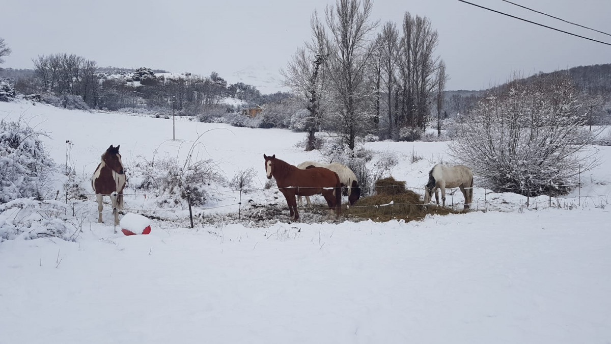 Prado de la guzpeu00f1a nieve 2023 carlos mesa 2