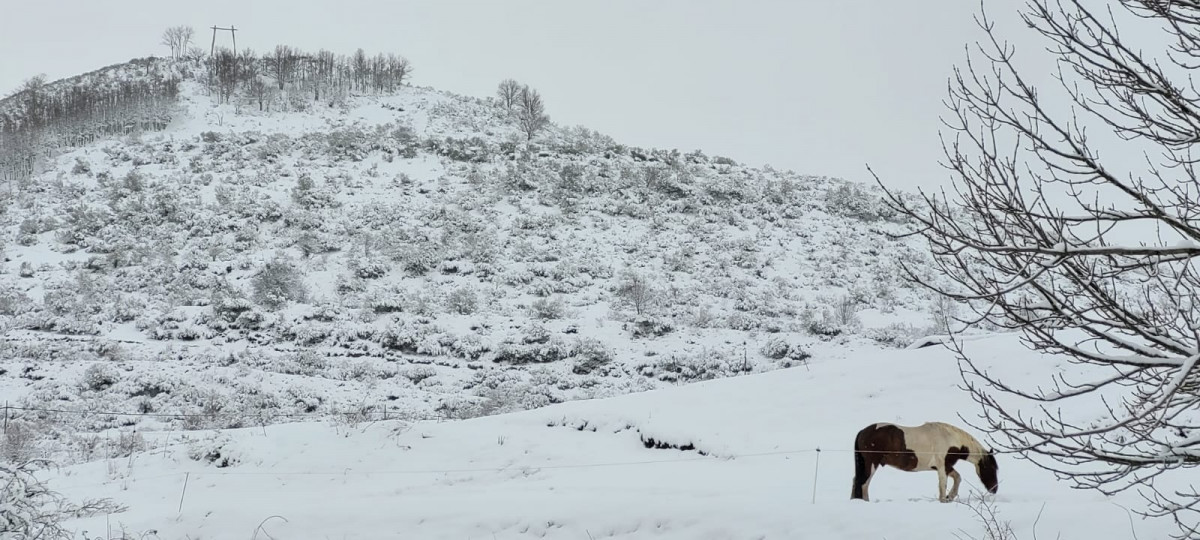 Lario nieve enero 2023 cristina vela 2