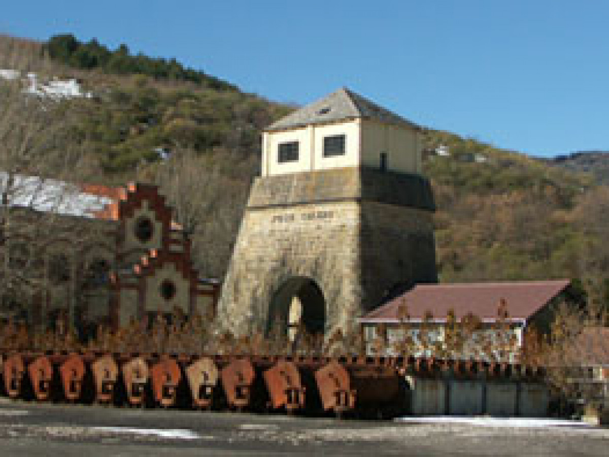 Foto