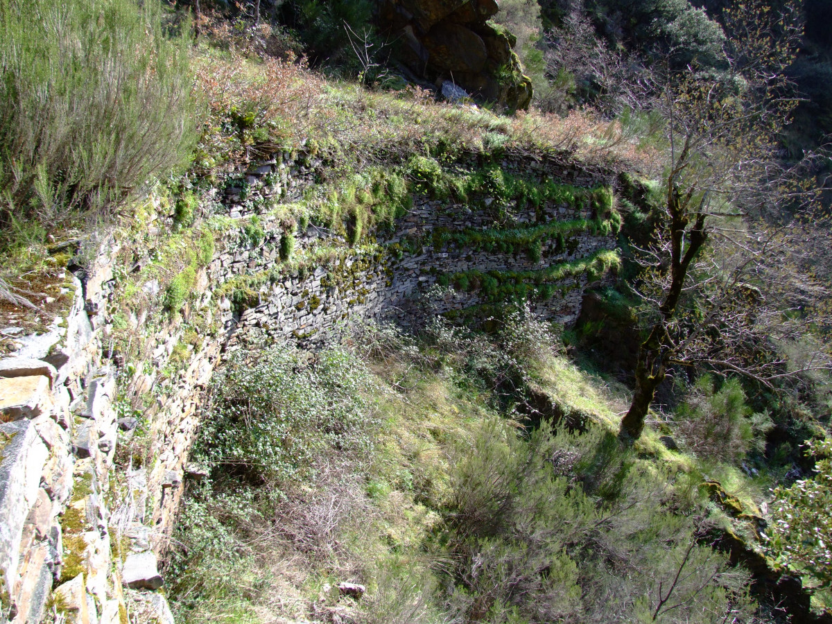 Canales romanos la cabrera (3)