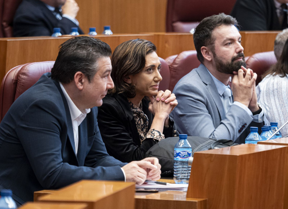Los tres procuradores de UPL en las CCyL